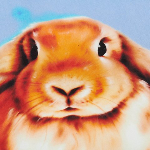 Palace PHUMPER SHIRT FRESH AIR - Colorway