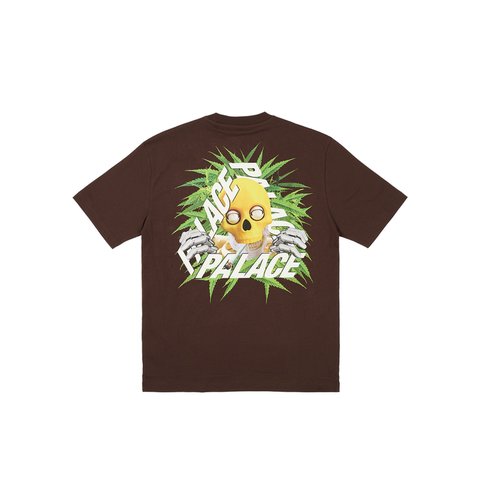 Palace BAKED P-3 T-SHIRT NICE BROWN - Colorway