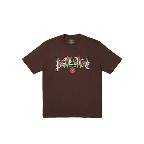 Palace THORNY T-SHIRT NICE BROWN - Colorway
