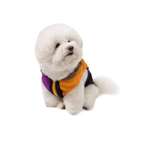 Palace PALACE K-WAY LE VRAI 4.0 HORATIO DOG JACKET MULTI / PURPLE / ORANGE - Colorway