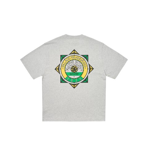 Palace TENDENCIES T-SHIRT GREY MARL - Colorway