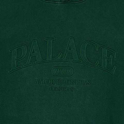 Palace UNITAS PIGMENT WASH HOOD RACEY GREEN - Colorway