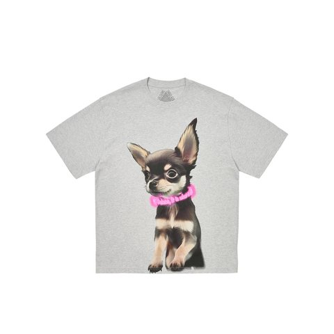 Palace YAPPY T-SHIRT GREY MARL - Colorway