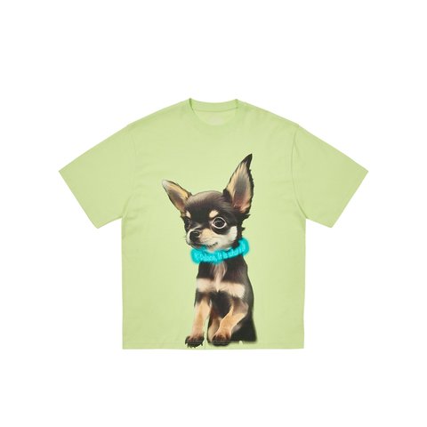 Palace YAPPY T-SHIRT MOJITO - Colorway
