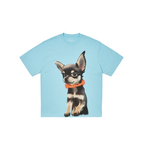 Palace YAPPY T-SHIRT SKYLINE BLUE - Colorway