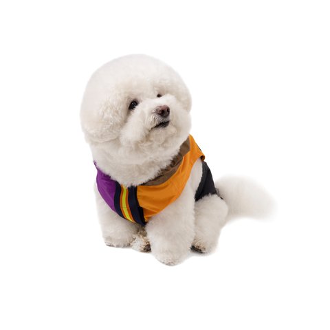 Palace PALACE K-WAY LE VRAI 4.0 HORATIO DOG JACKET MULTI / PURPLE / ORANGE - Colorway