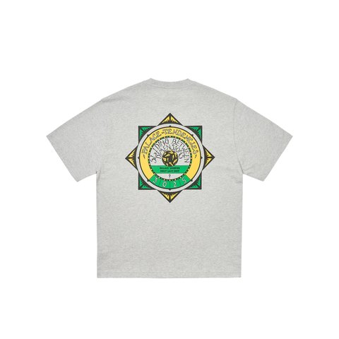 Palace TENDENCIES T-SHIRT GREY MARL - Colorway