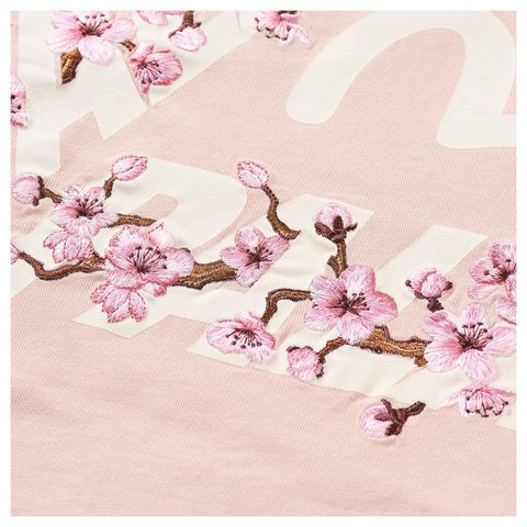 Palace PALACE EVISU HEAVY WASH T-SHIRT MISTY PINK - Style 4