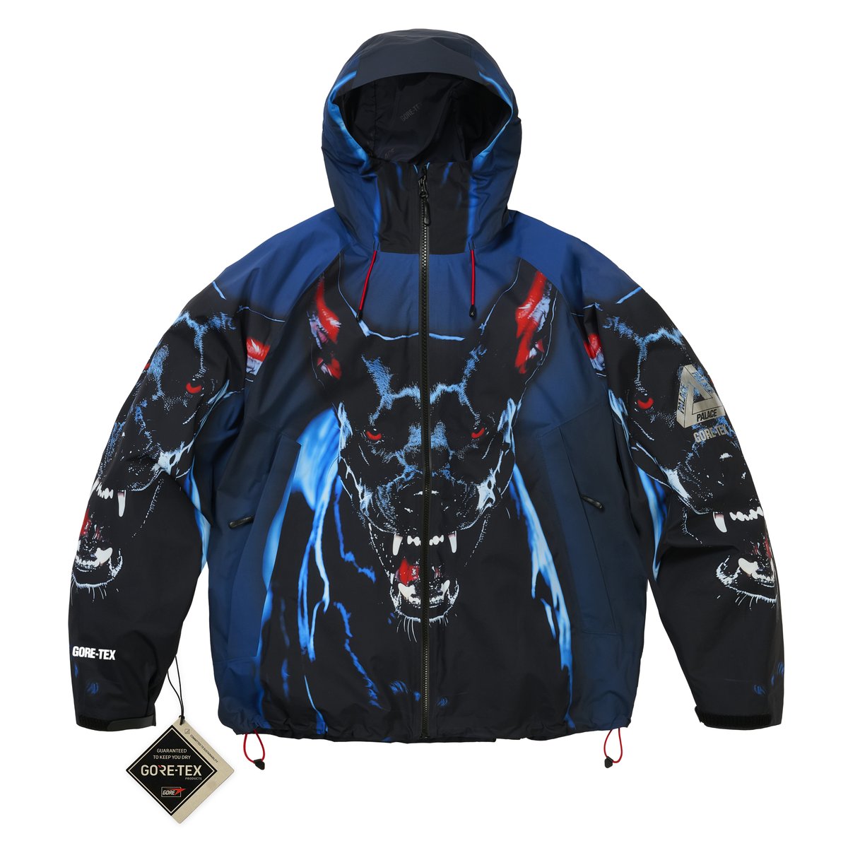 spring-2026-gore-tex-2l-p-tek-