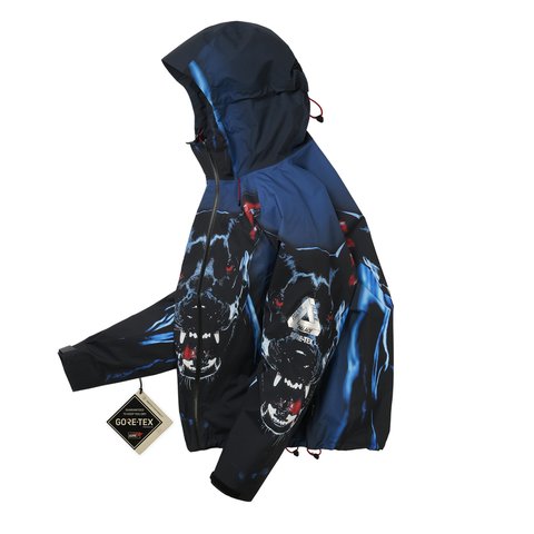 Palace GORE-TEX 2L P-TEK JACKET K-NEIN PRINT - Colorway