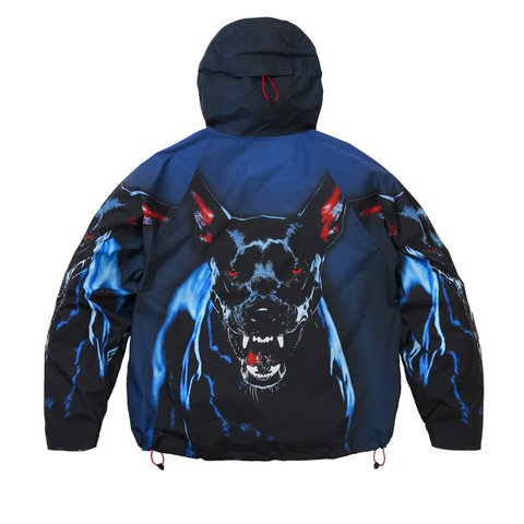 Palace GORE-TEX 2L P-TEK JACKET K-NEIN PRINT - Colorway