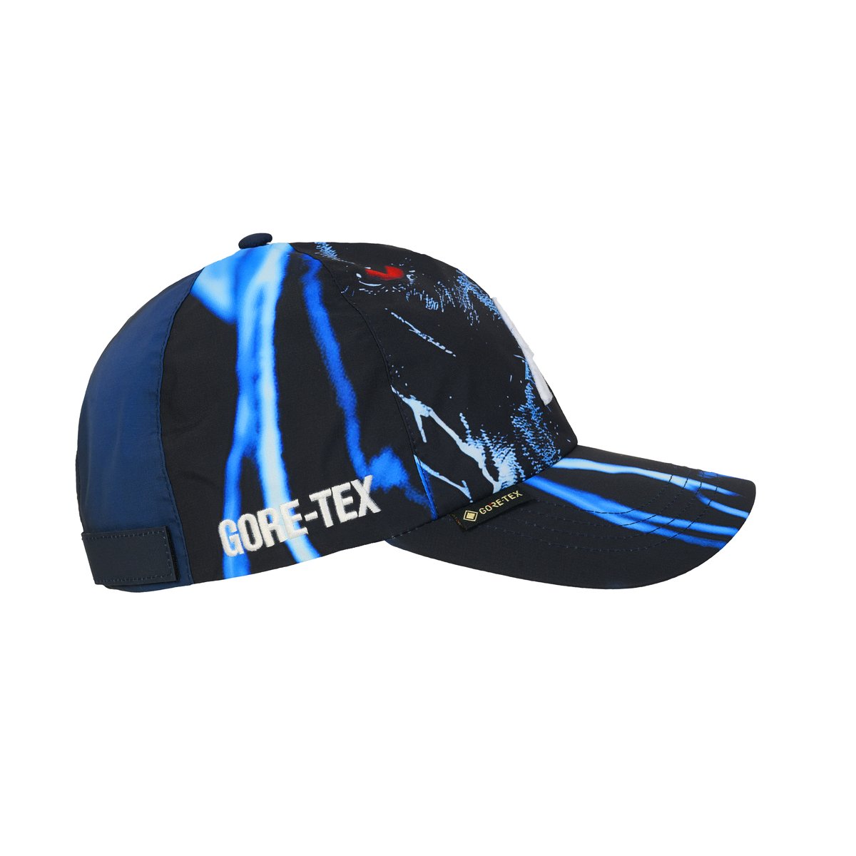 GORE-TEX P 6-PANEL K-NEIN PRINT - Spring 2026 - Palace