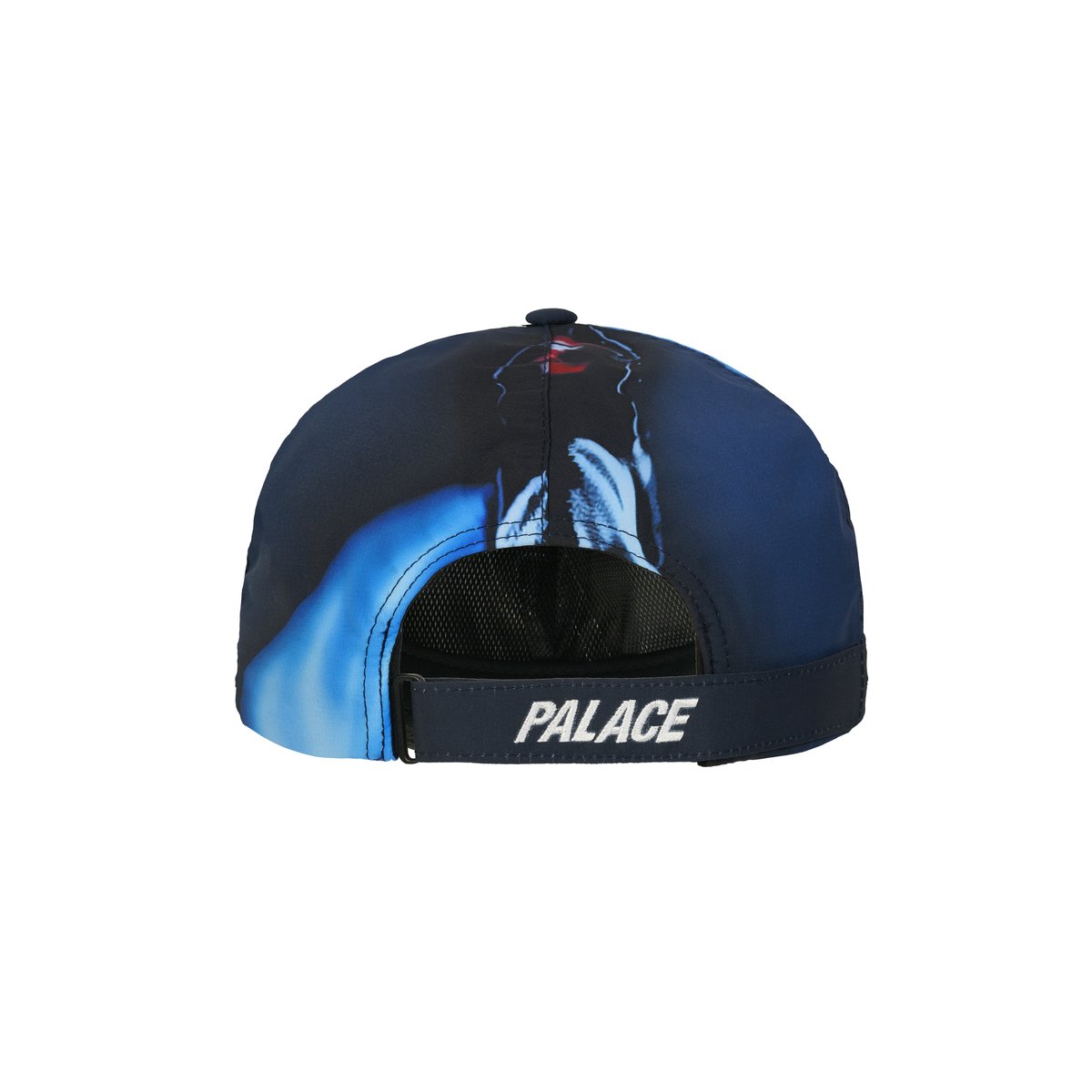 GORE-TEX P 6-PANEL K-NEIN PRINT - Spring 2026 - Palace