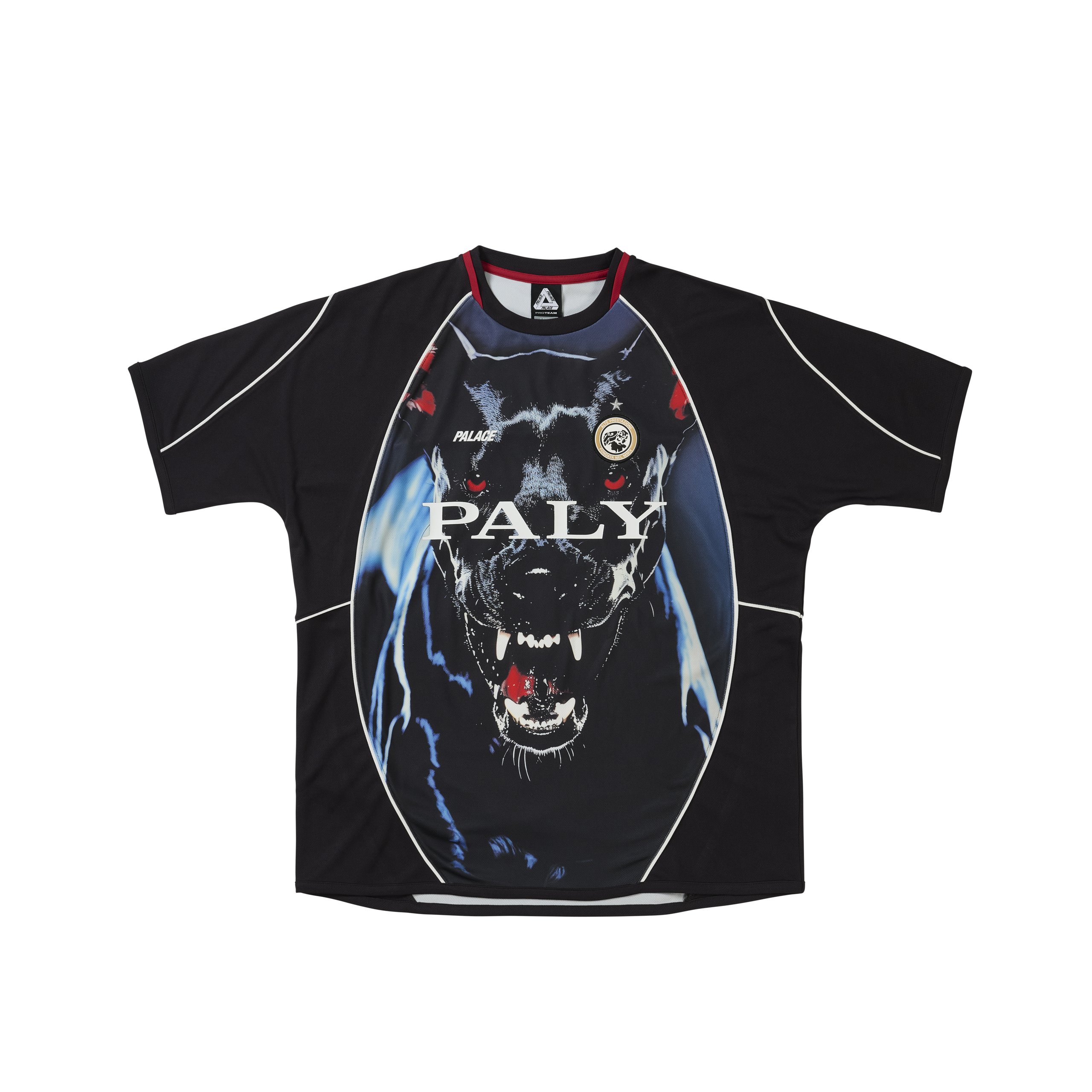 ウェア PALACE Pro Team Piped Jersey KNein Print PRO TEAM PIPED JERSEY K-NEIN PRINT - Spring 2026 - Palace