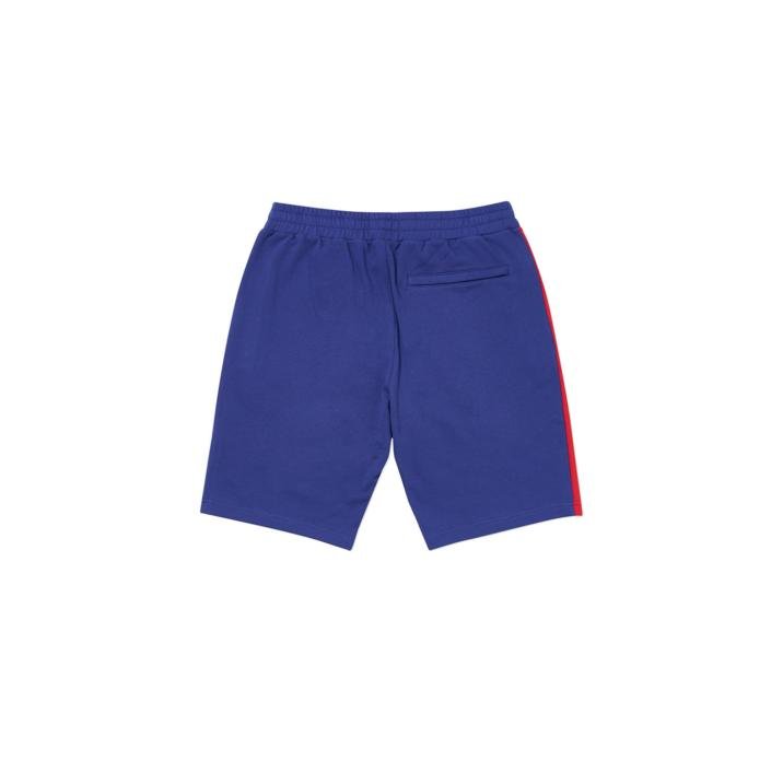 VERTO SHORT PURPLE