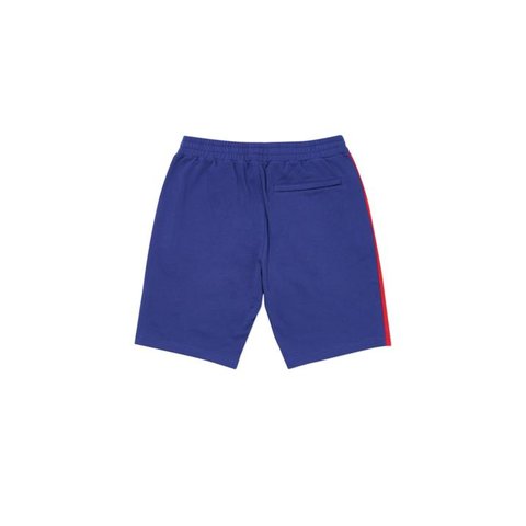 Palace VERTO SHORT PURPLE