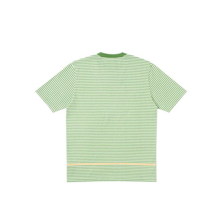 RASTEL T-SHIRT GREEN / WHITE