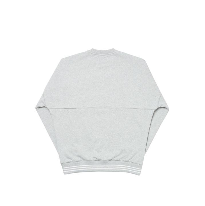 20/20 VISION CREW GREY MARL