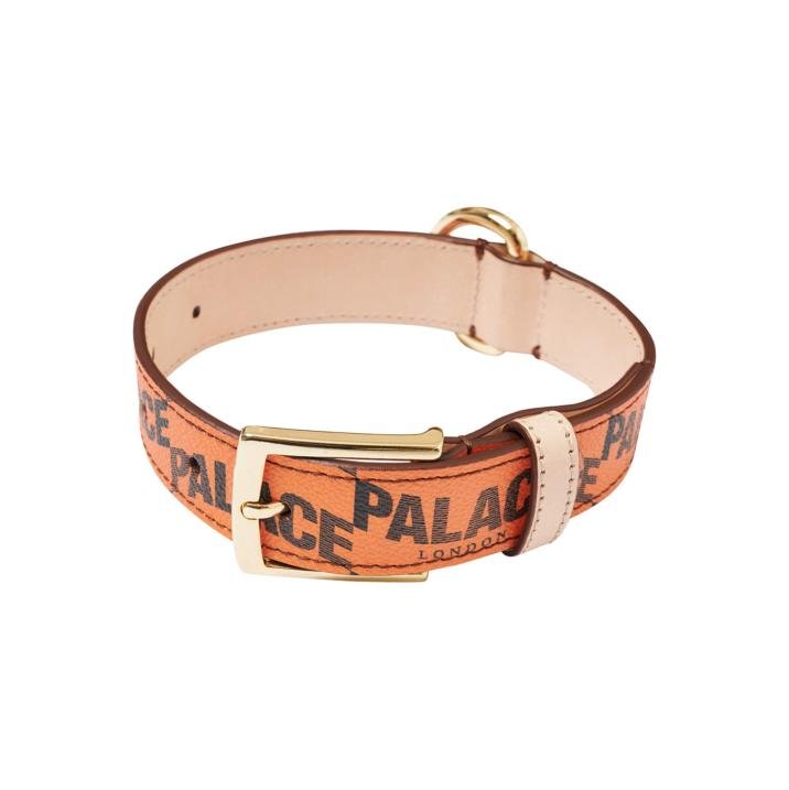 P-LUX DOG COLLAR ORANGE