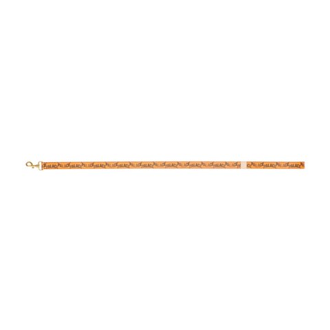 Palace P-LUX DOG LEAD ORANGE - Colorway