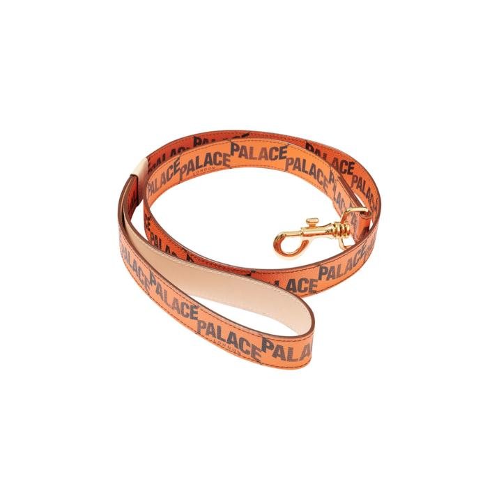 P-LUX DOG LEAD ORANGE