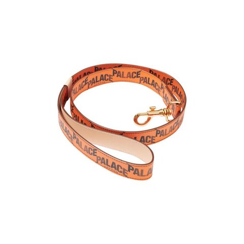 Palace P-LUX DOG LEAD ORANGE