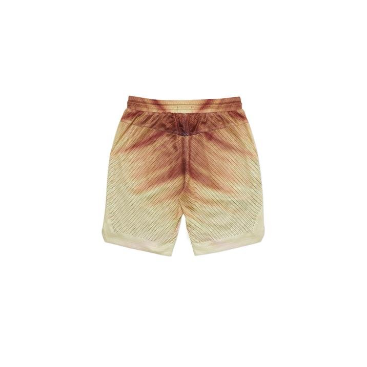 AIRTEX ROUNDHOUSE TO THE FACE SHORTS BRONZE