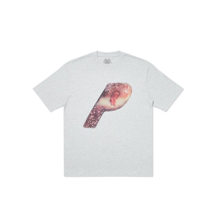 JAM FAM T-SHIRT GREY MARL