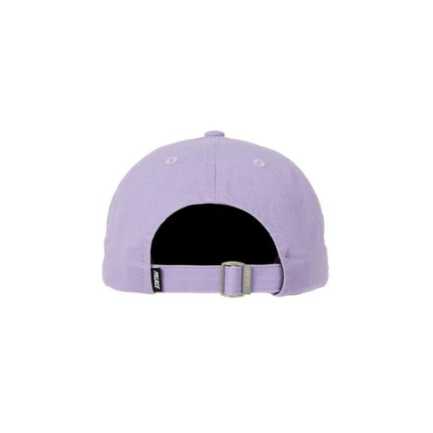 BASICALLY A 6-PANEL LILAC
