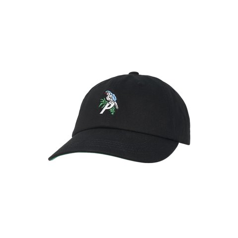 Palace PARROT 6-PANEL BLACK - Colorway