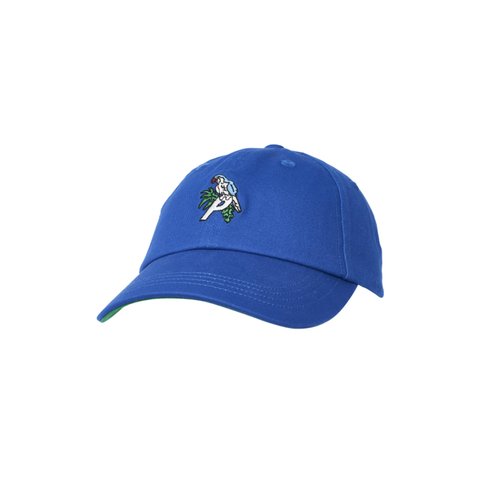 PARROT 6-PANEL BLUE