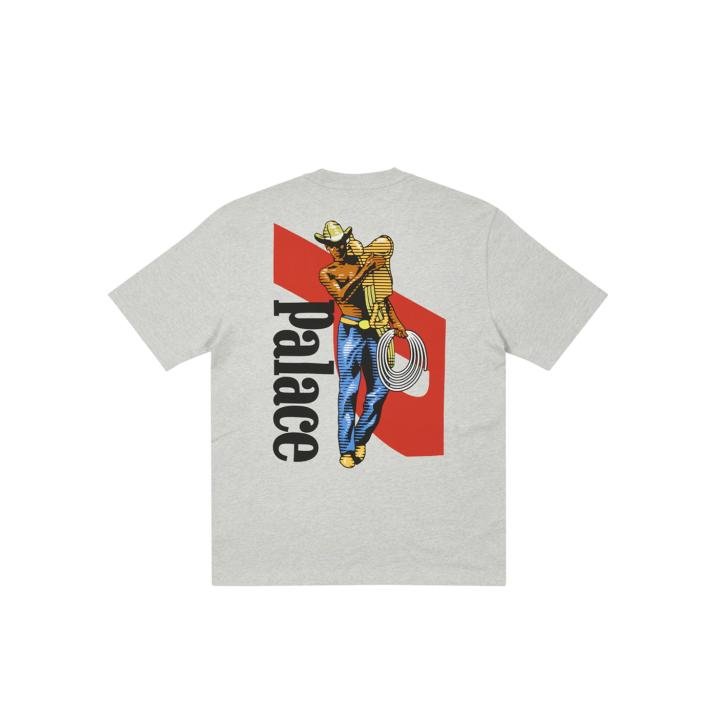 SAVES T-SHIRT GREY MARL