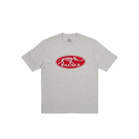 Palace BONE DRY T-SHIRT GREY MARL - Colorway