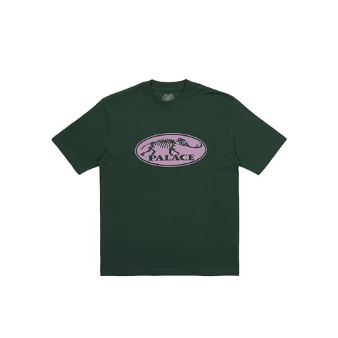 Palace BONE DRY T-SHIRT HUNTSMAN - Colorway