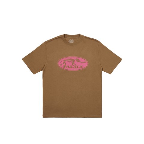 Palace BONE DRY T-SHIRT MOCHA - Colorway