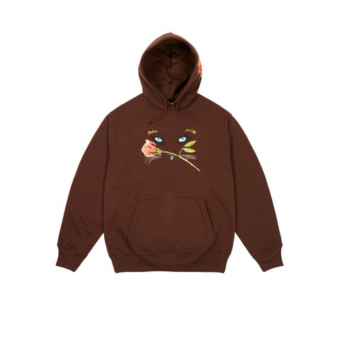 Palace CAT EYES HOOD NICE BROWN - Colorway