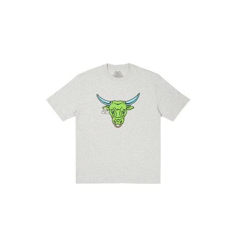 Palace NOBUL T-SHIRT GREY MARL - Colorway