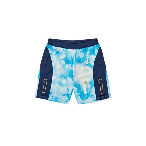 Palace 1 TRUTH SHORT NAVY - Colorway