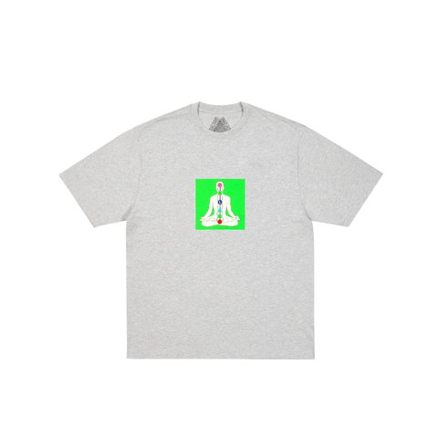 Palace CHAKRADICAL T-SHIRT GREY MARL - Colorway