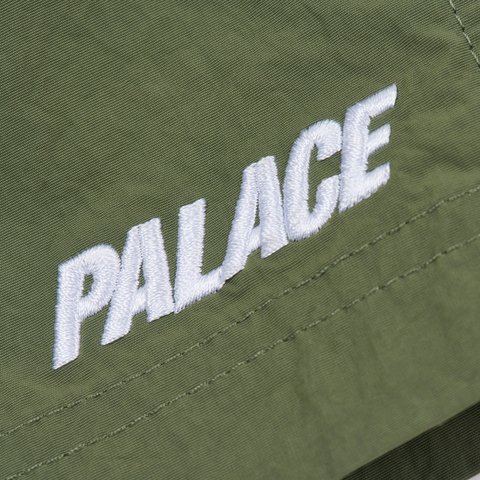 Palace STANDARD SWIM SHORT THE DEEP GREEN - Colorway
