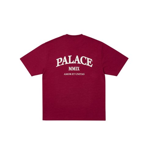 Palace UNITAS SLUB T-SHIRT BERG - Colorway