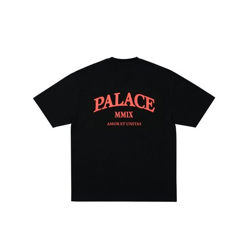 Palace UNITAS SLUB T-SHIRT BLACK - Colorway