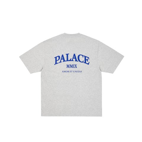 Palace UNITAS SLUB T-SHIRT GREY MARL - Colorway