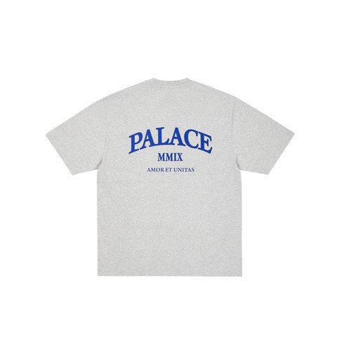 Palace UNITAS SLUB T-SHIRT GREY MARL - Colorway