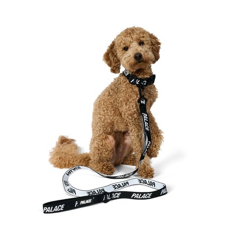 Palace JACQUARDED DOG COLLAR AND LEAD BLACK - Style 8