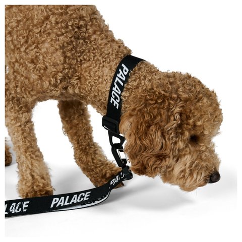 Palace JACQUARDED DOG COLLAR AND LEAD BLACK - Style 8