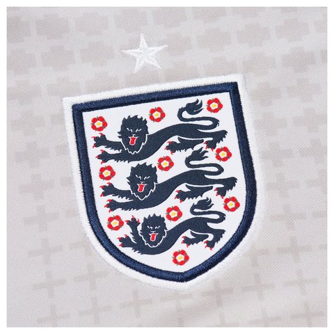 Palace PALACE NIKE ENGLAND DRI-FIT ACADEMY PRO SHORT-SLEEVE FOOTBALL TOP PEWTER GREY / BRIGHT CRIMSON - Style 5