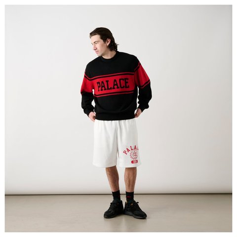 Palace BULLDOG MESH SHORT WHITE - Style 5