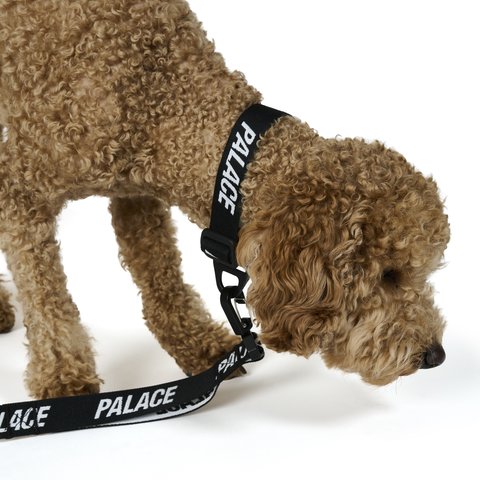 Palace Jacquarded Dog Collar And Lead Black - Colorway