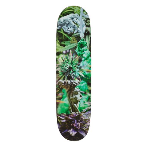 Palace PALACE BOARD CHARLIE BIRCH - Colorway